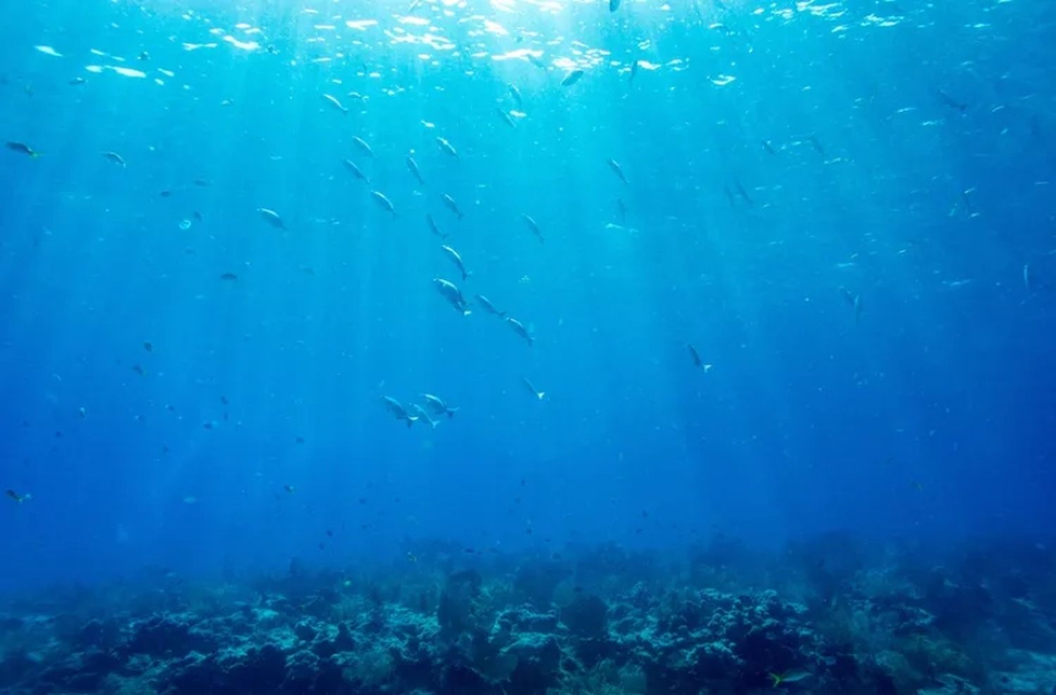 El mar Mediterráneo superó los 28° y batió el récord de temperatura