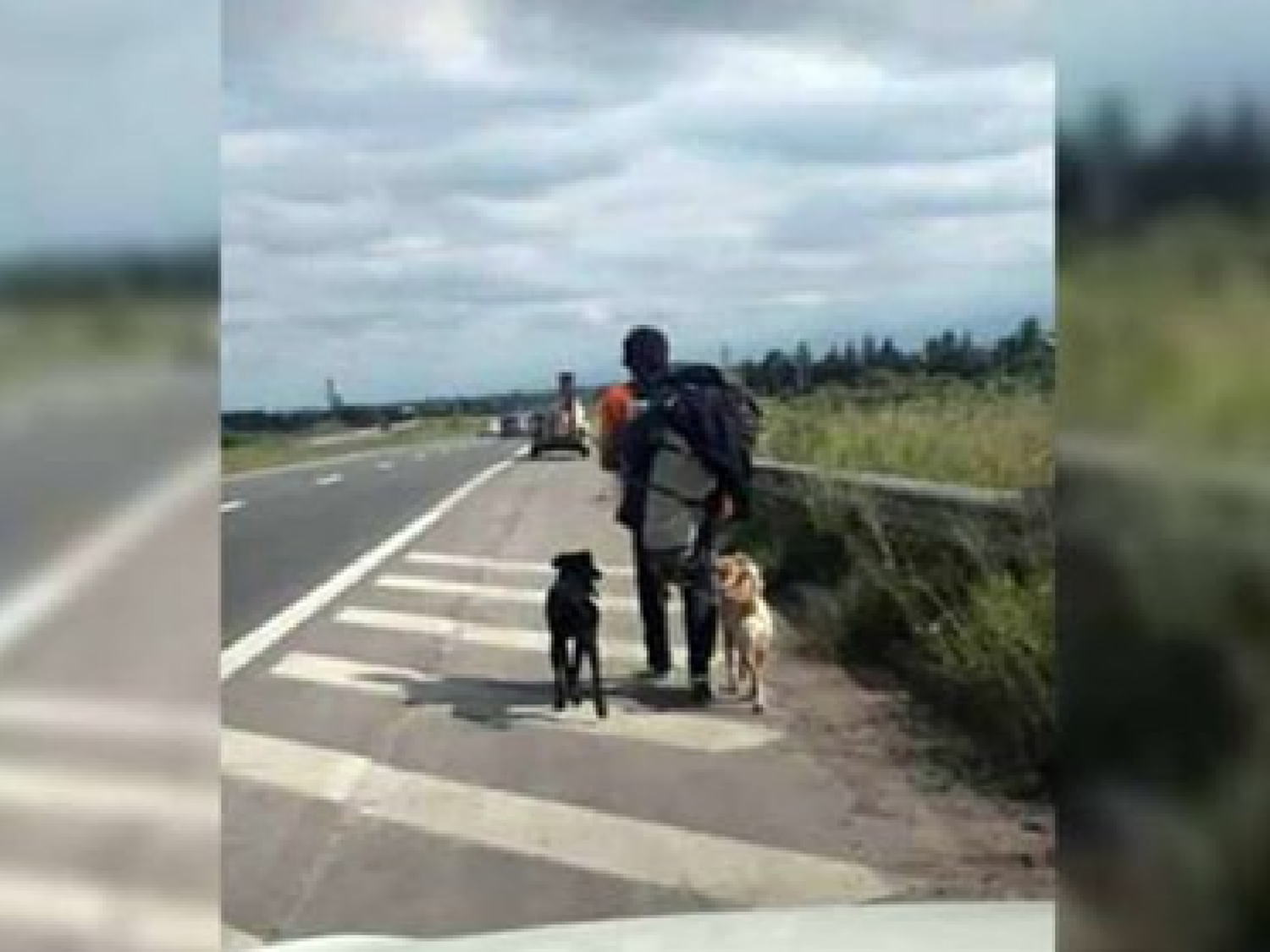 Viajó 1.200 km “a dedo” por amor a sus perros