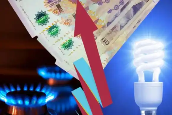 Estiman que sin subsidios, cada hogar pagará promedio de $35.000 por mes entre luz y gas