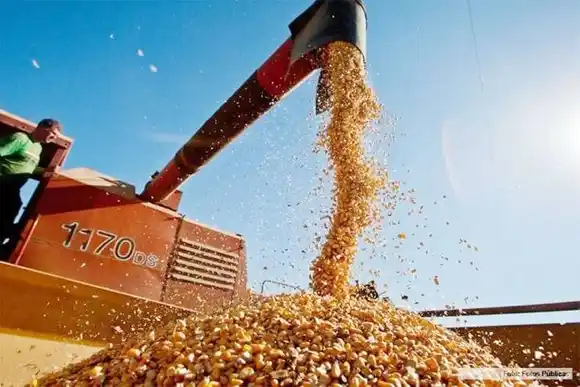 Se acordó un nuevo esquema de tarifas referenciales  de fletes de granos