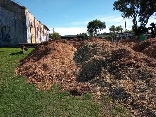 Se encuentra disponible de manera gratuita el chipeado en la vieja estación