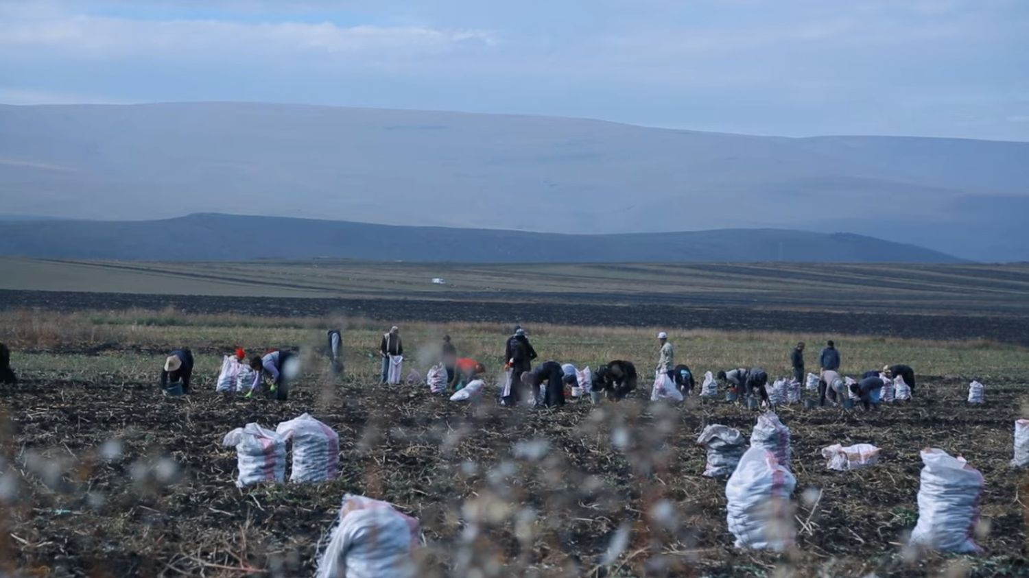 tareas rurales mujeres