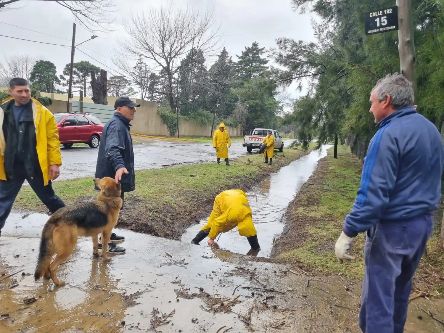 La Plata temporal - 1