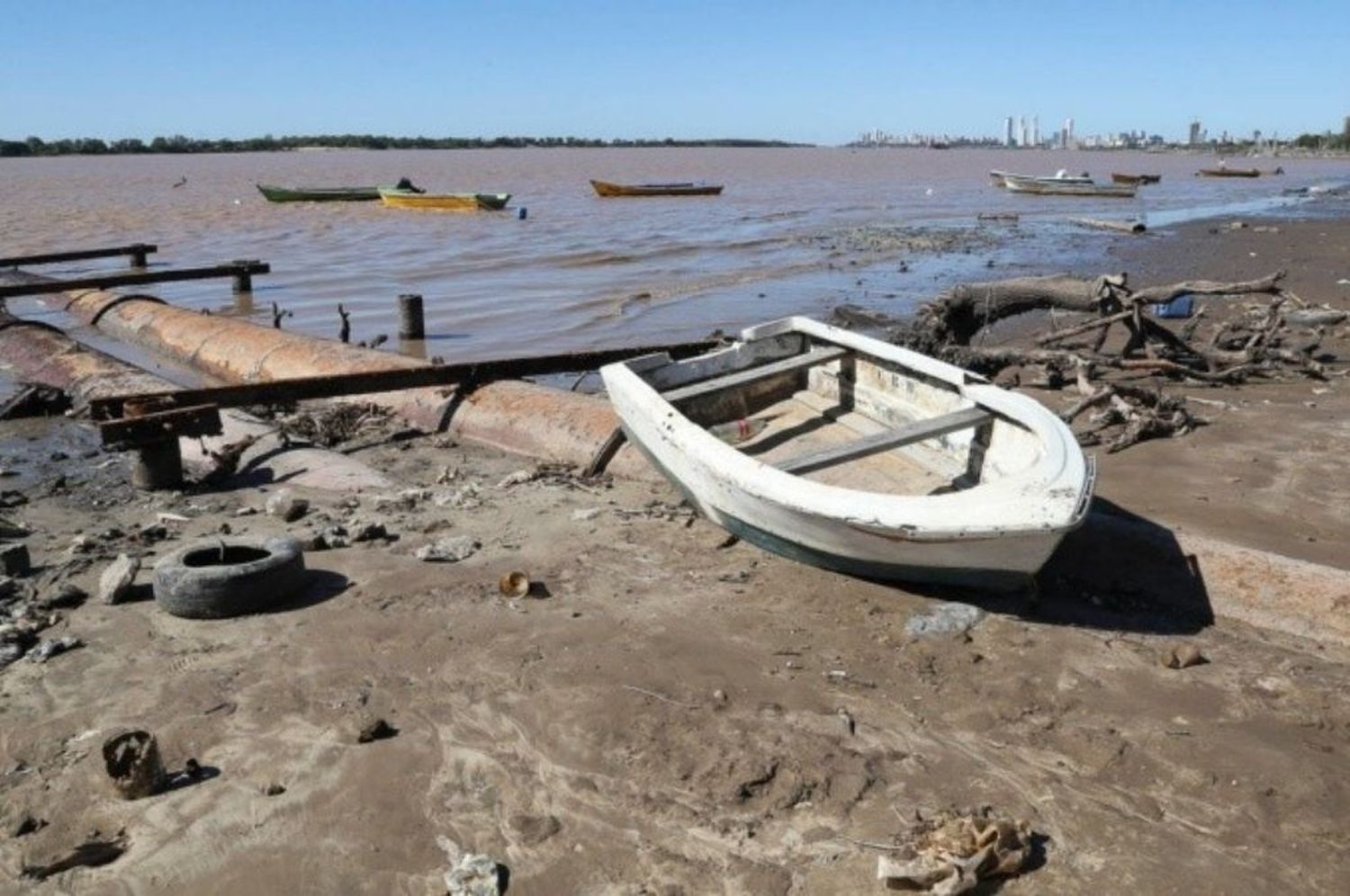 Rosario: preocupa la bajante del río Paraná