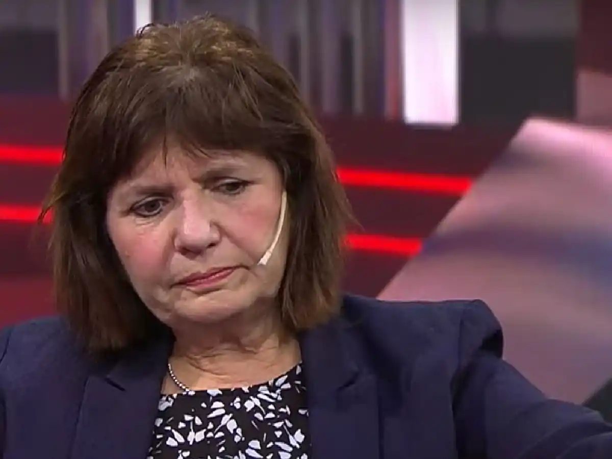 Crece el malestar en la UCR con Patricia Bullrich por sus actitudes radicalizadas 