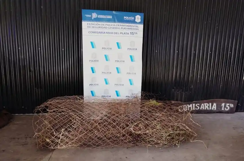 Zona de nadie: roban alambrado de un predio de OSSE en Parque Peña