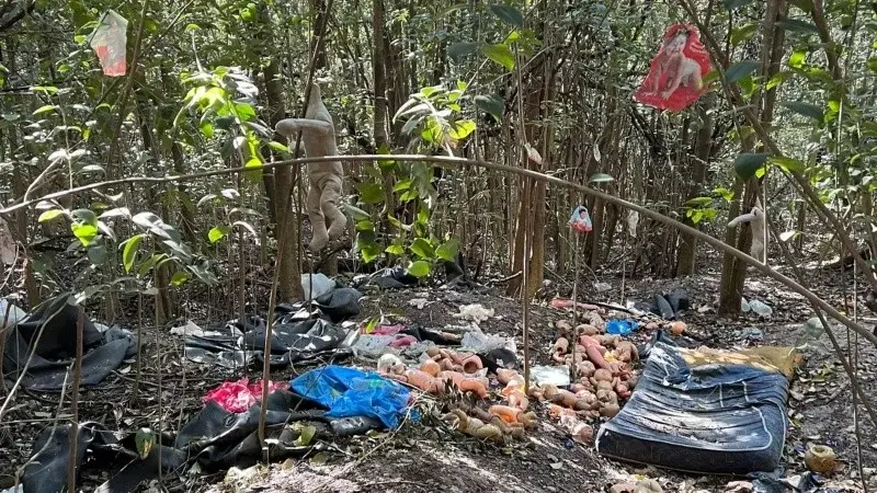 Horror en el sur provincial: hallaron imágenes de niños y objetos extraños en una reserva natural