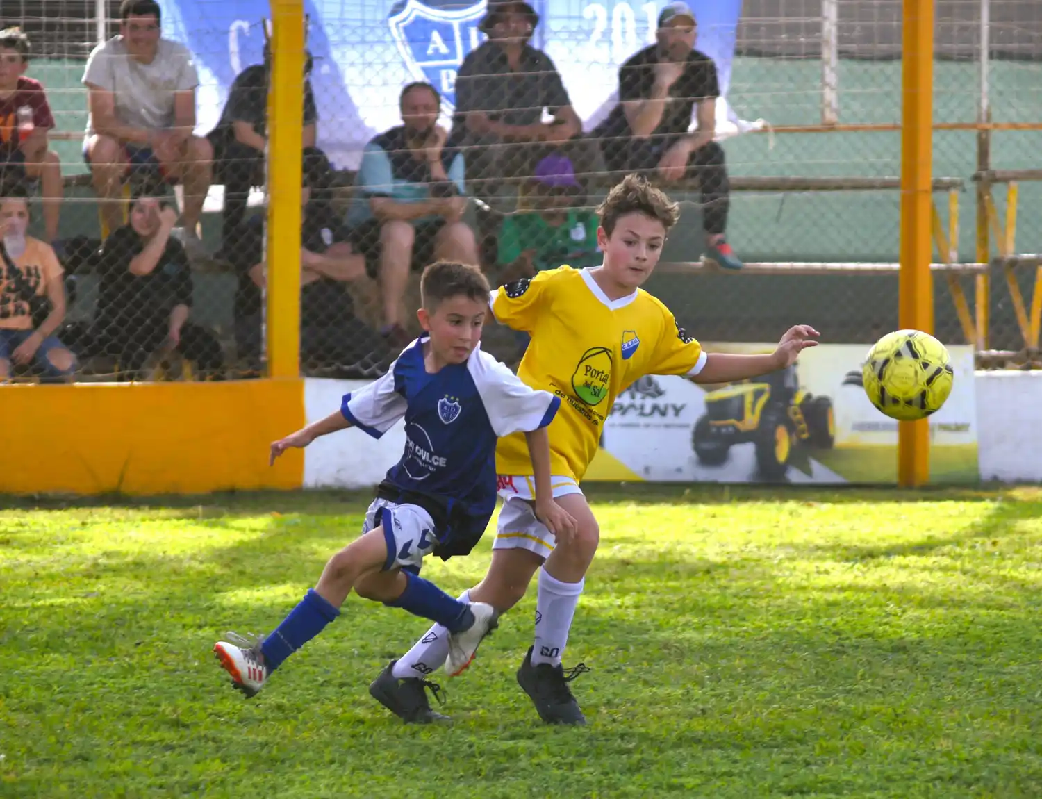 Baby Fútbol: se disputó la 8° fecha del Clausura