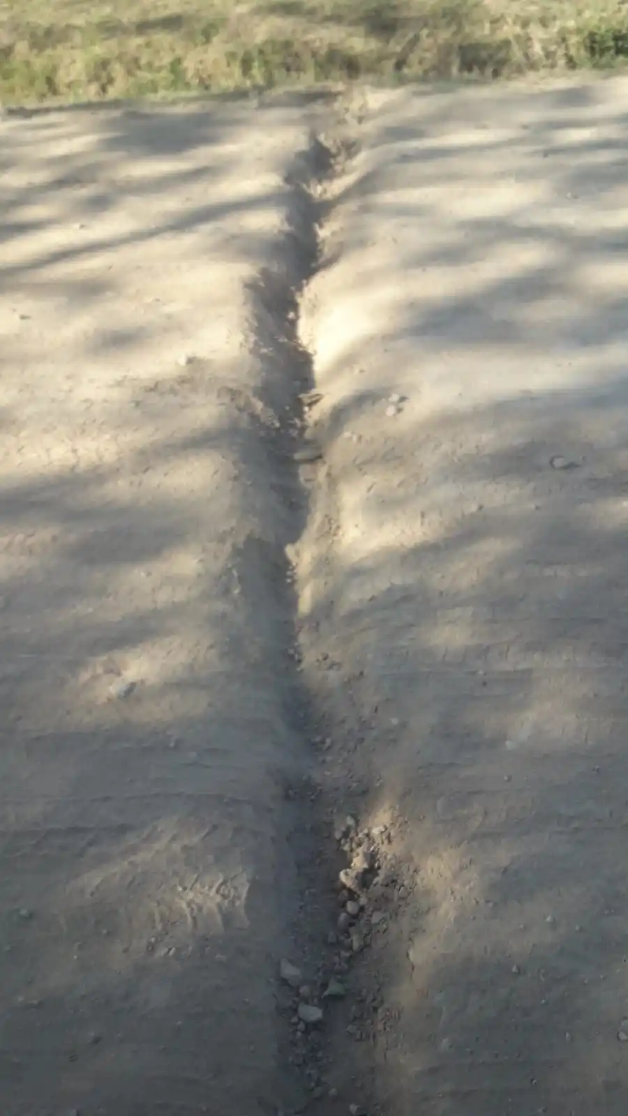 Cortadas, lomos de burro clandestinos y regador, la lucha diaria