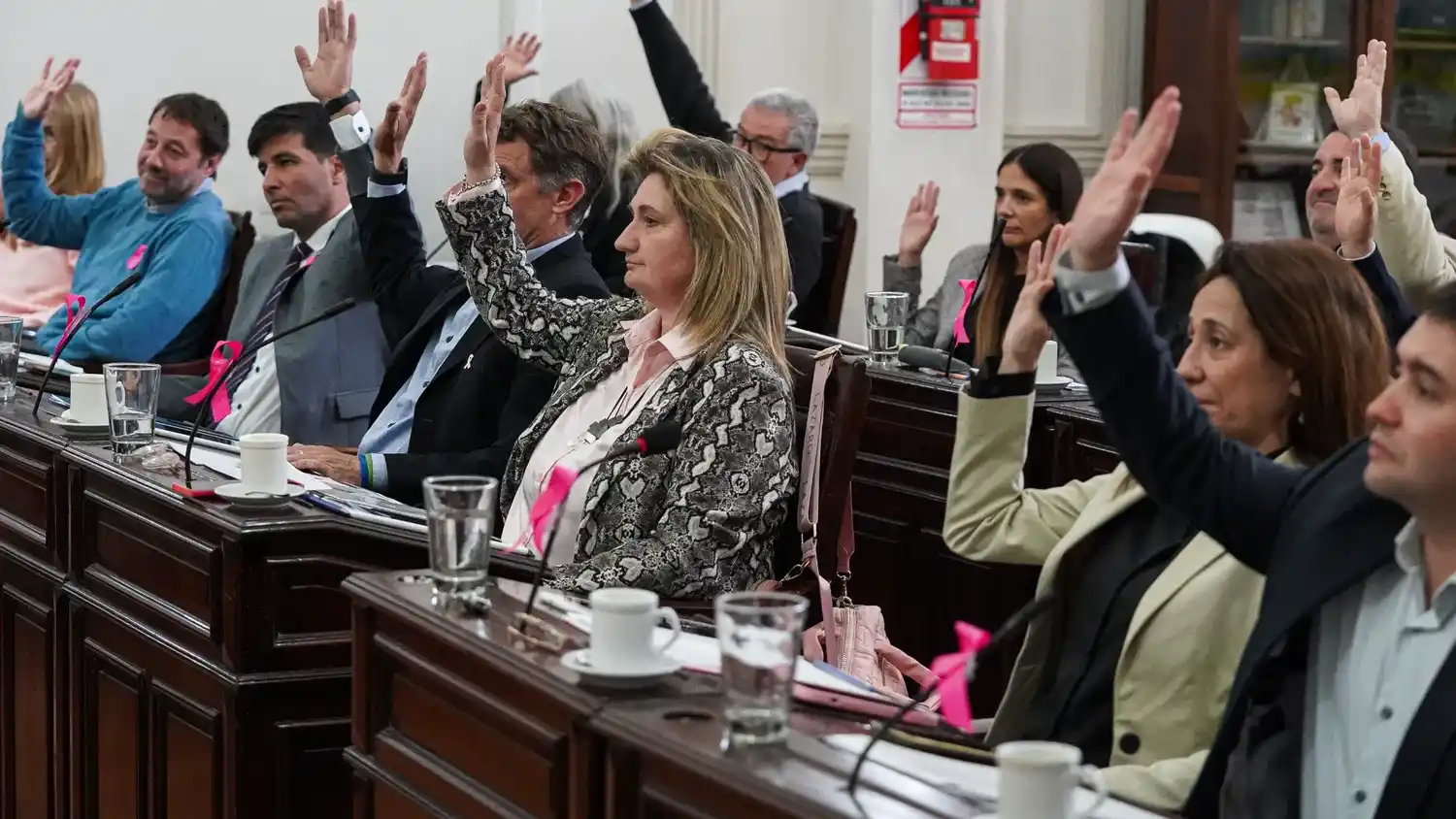 Manos arriba. La de todos los concejales y concejalas para aprobar por unanimidad el pliego del servicio de transporte público de pasajeros.