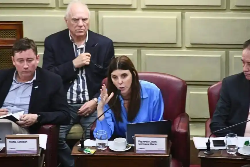 Convención Constituyente