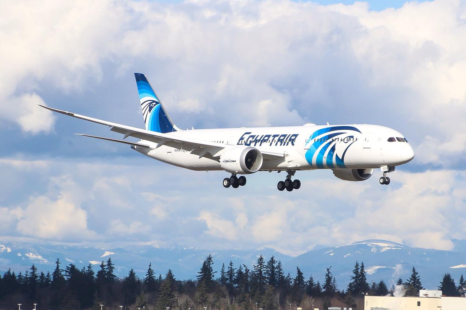 Egyptair solicita al DOT volar a Los Ángeles