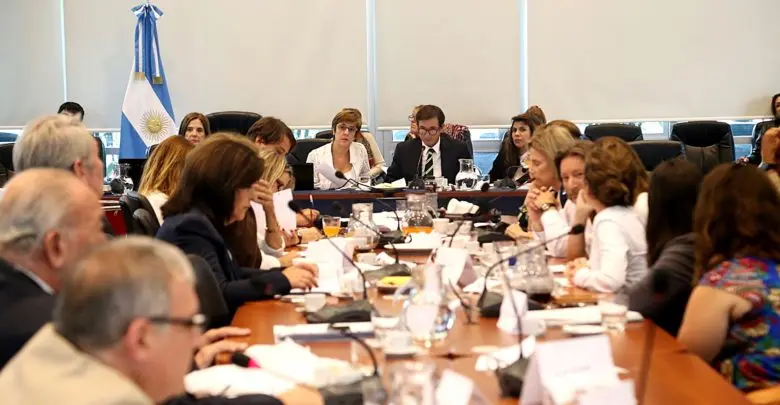 Obtuvo dictamen el proyecto del aborto