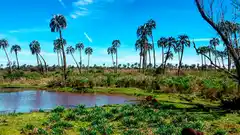 Vacaciones de invierno: Cómo sacar el permiso para circular por el país