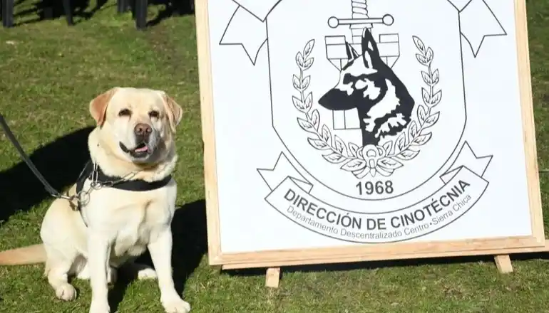 Ahora vivirá con la familia de su guía