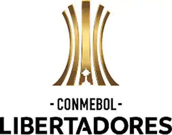 Preocupación de Adepa  por demanda a periodista argentino en Paraguay