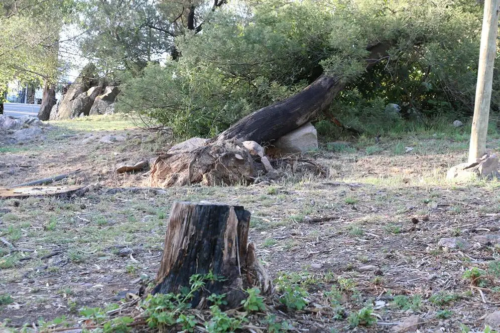 Críticas repercusiones  por la intervención en el  Parque Independencia