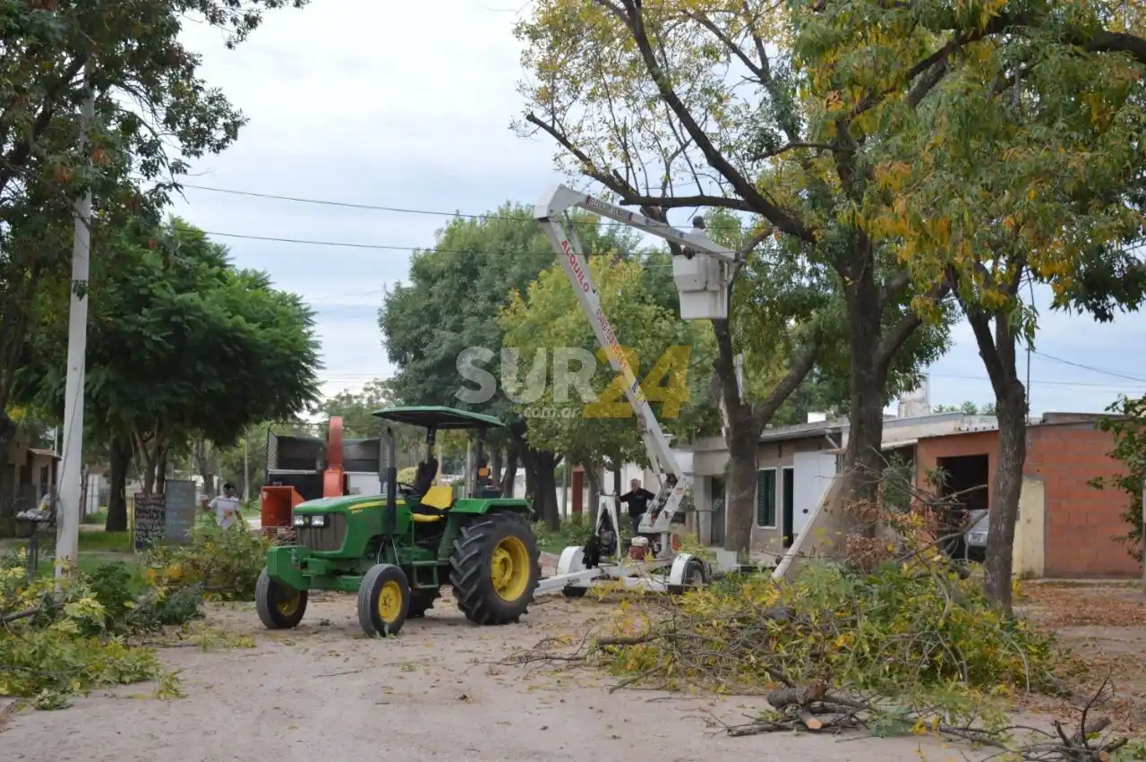 Cuadrillas municipales realizan poda en distintos barrios de la ciudad