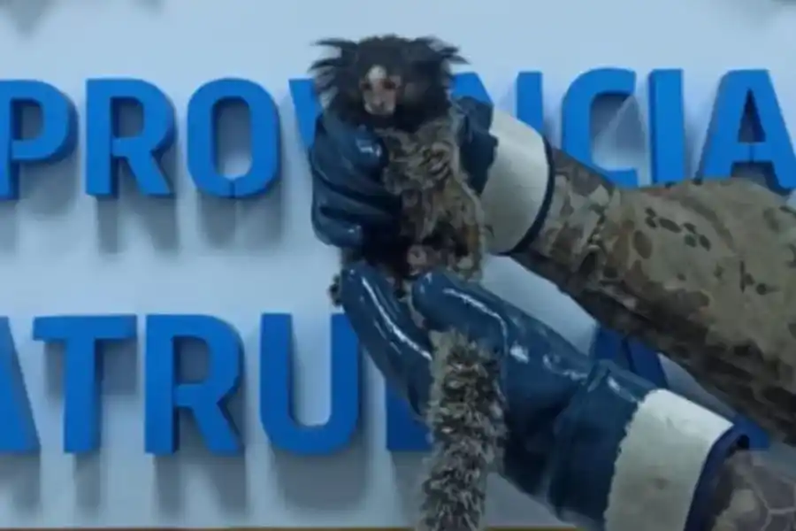 Foto: Policía de Córdoba.