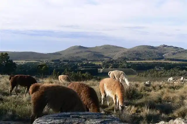 Sierra del Tigre