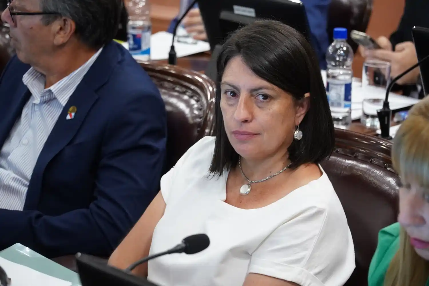 Diputada Laner presentó un proyecto para prohibir nombres de políticos y agrupaciones en bienes del Estado