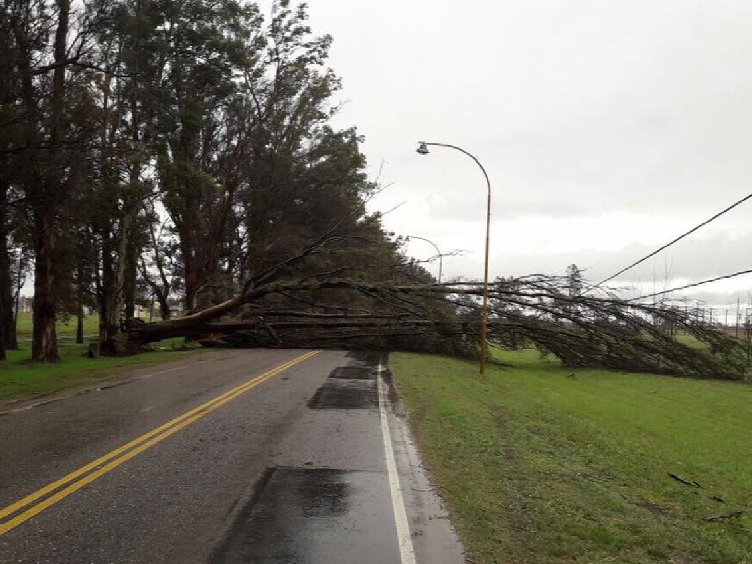 La lluvia dejó destrozos en distintos lugares de la ciudad