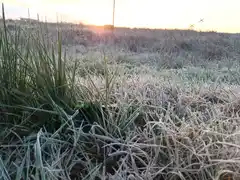 Alerta meteorológico para Tandil y la zona por frío extremo