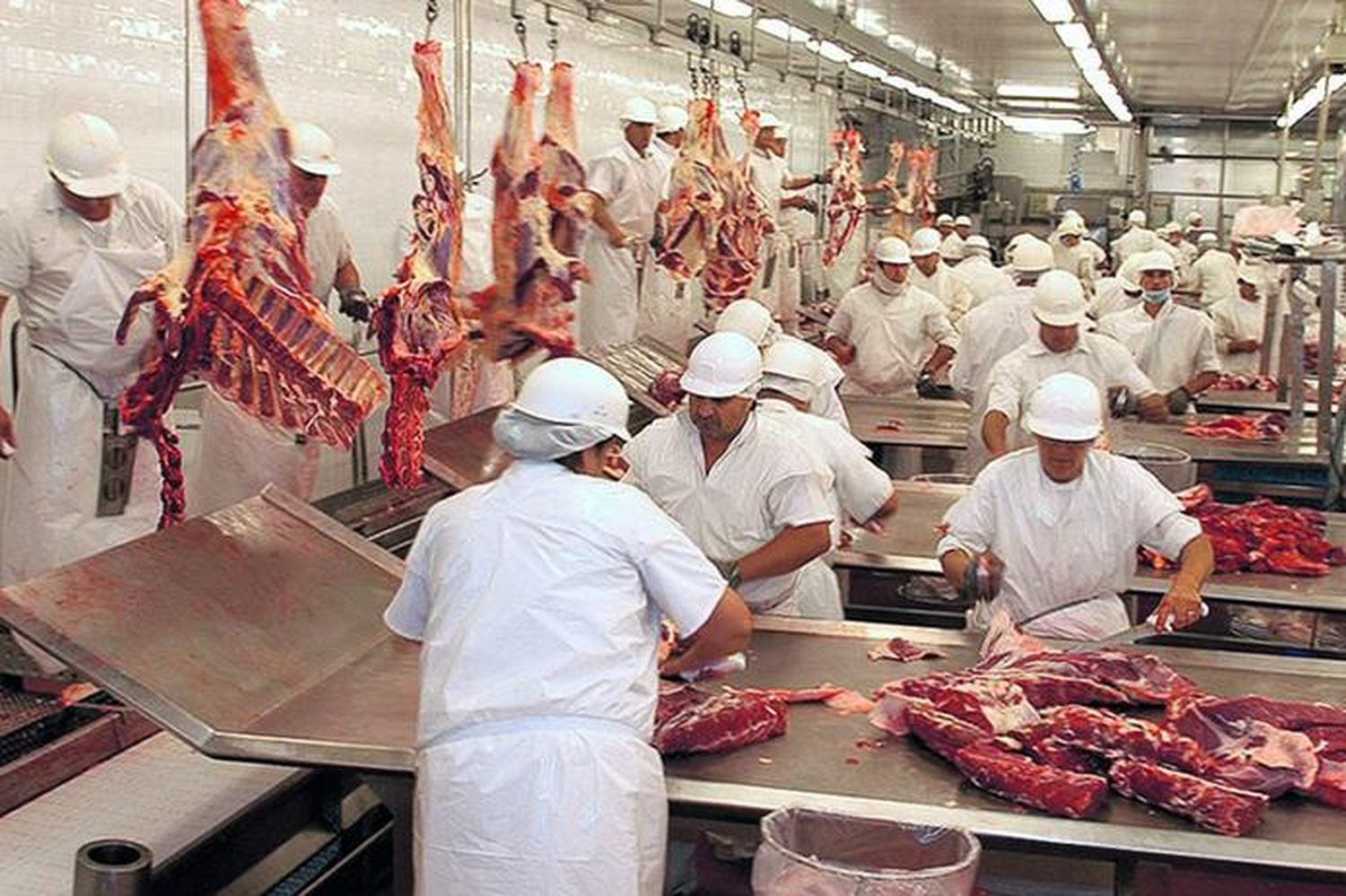 Continuarán hasta fin de octubre las restricciones para exportar carne