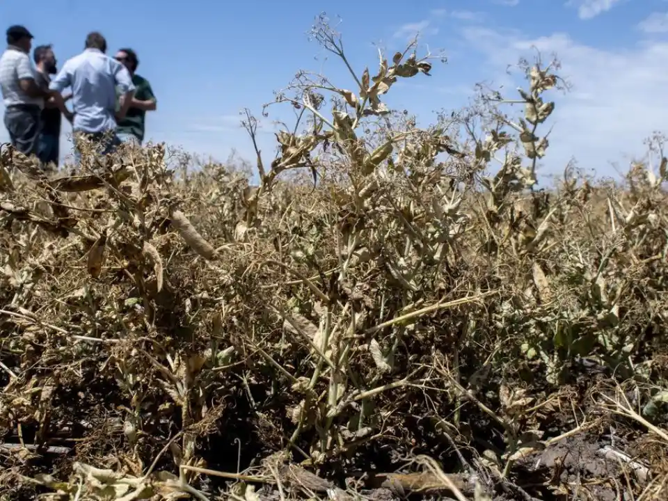 Pocas lluvias. La sequía golpea con fuerza al norte argentino.