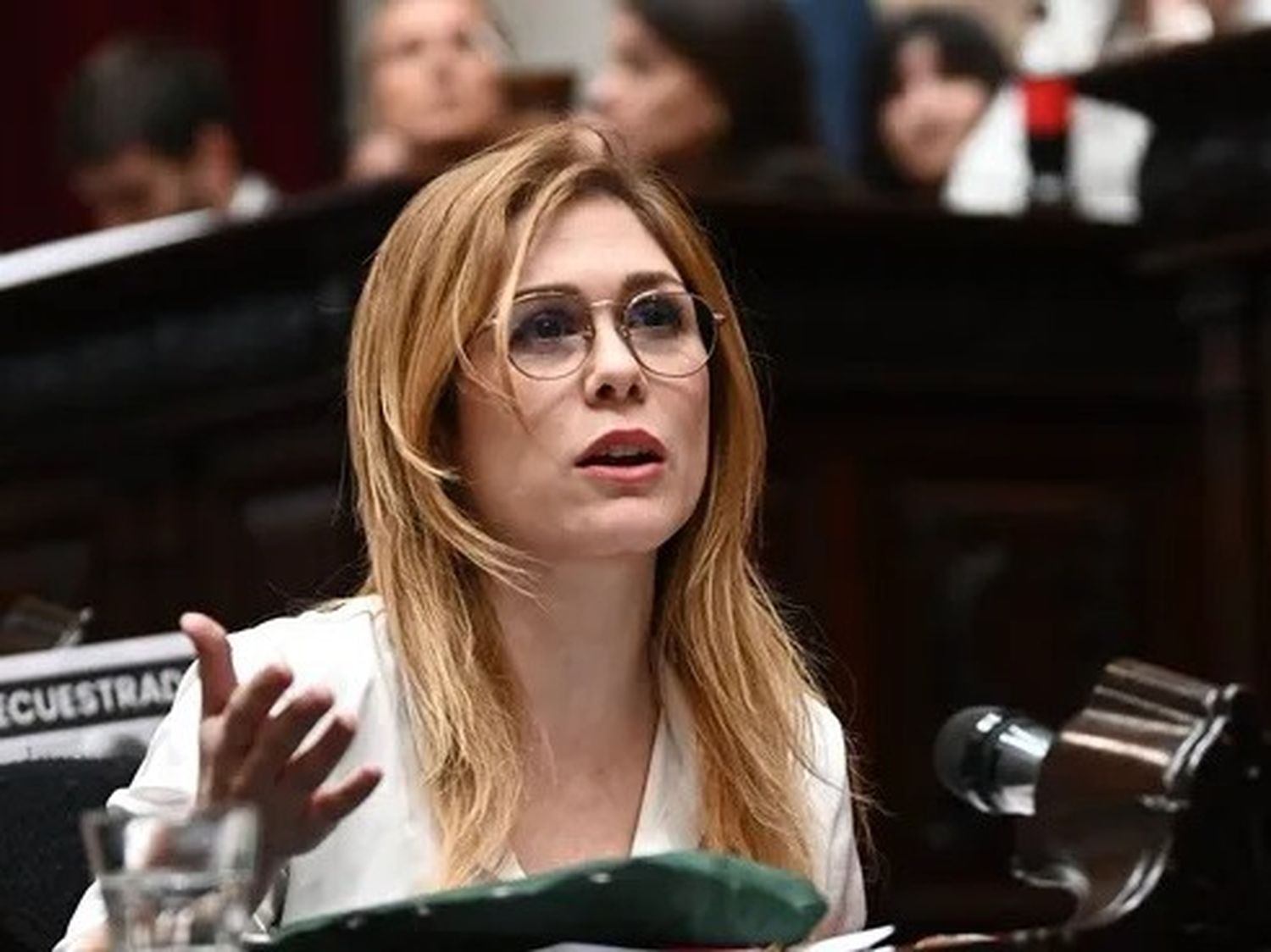 Lilia Lemoine, diputada nacional por La Libertad Avanza, durante una actividad legislativa. FOTO: Gentileza