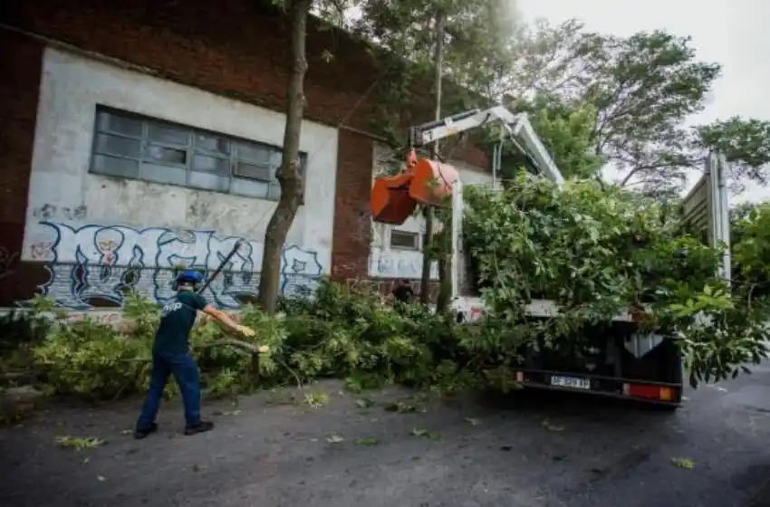 El Municipio realizó tareas de limpieza en la zona del Distrito Tecnológico