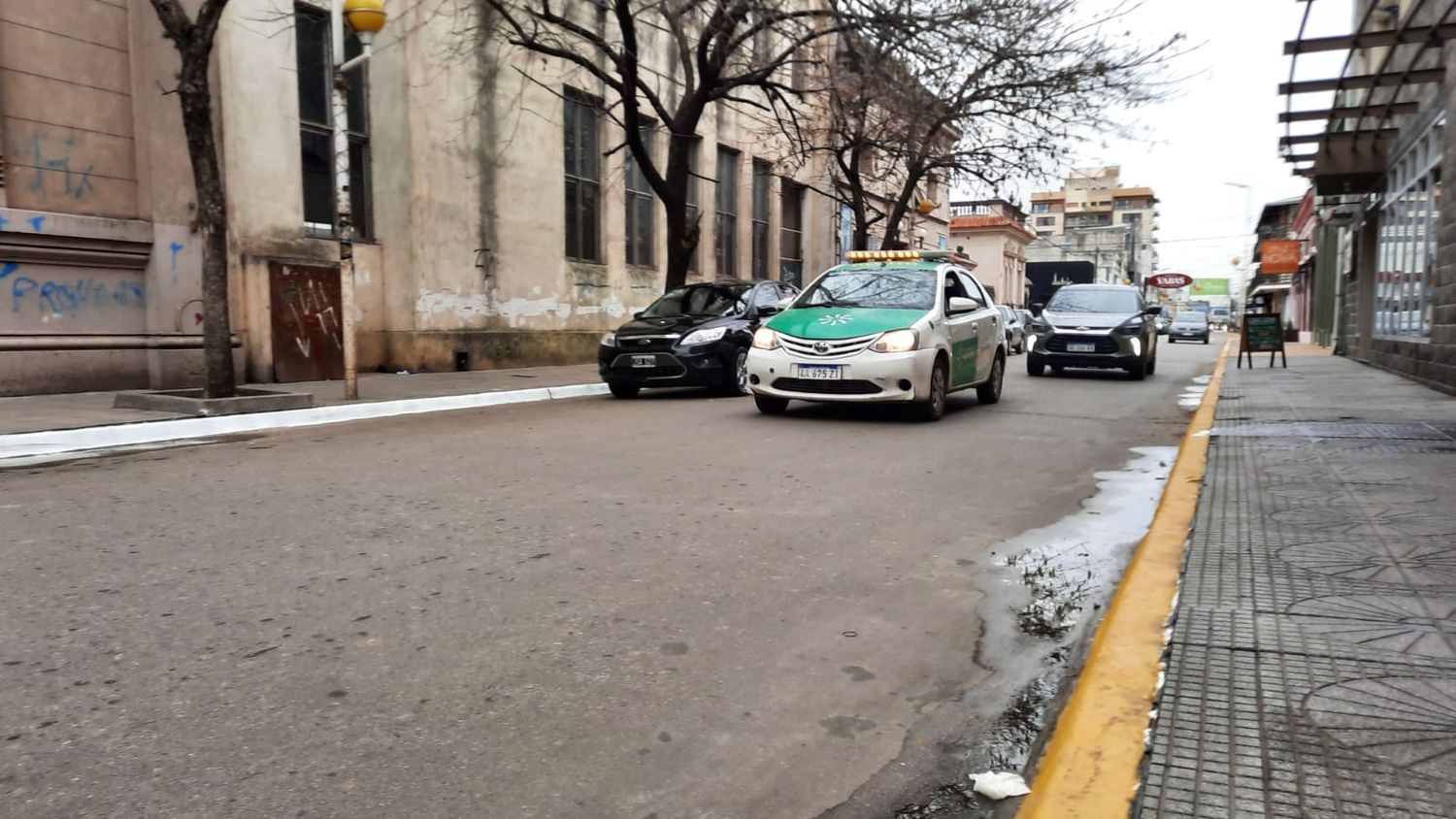 Insólito: De Rosa y Riquelme piden informe por "los cordones blancos" de calle Mitre, que ya están amarillos