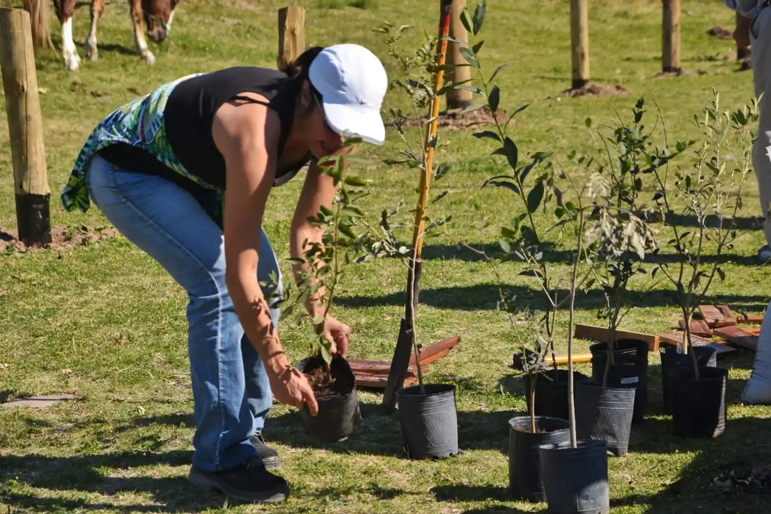 “Ésta ha sido la administración que más árboles ha plantado en toda la historia de la ciudad”
