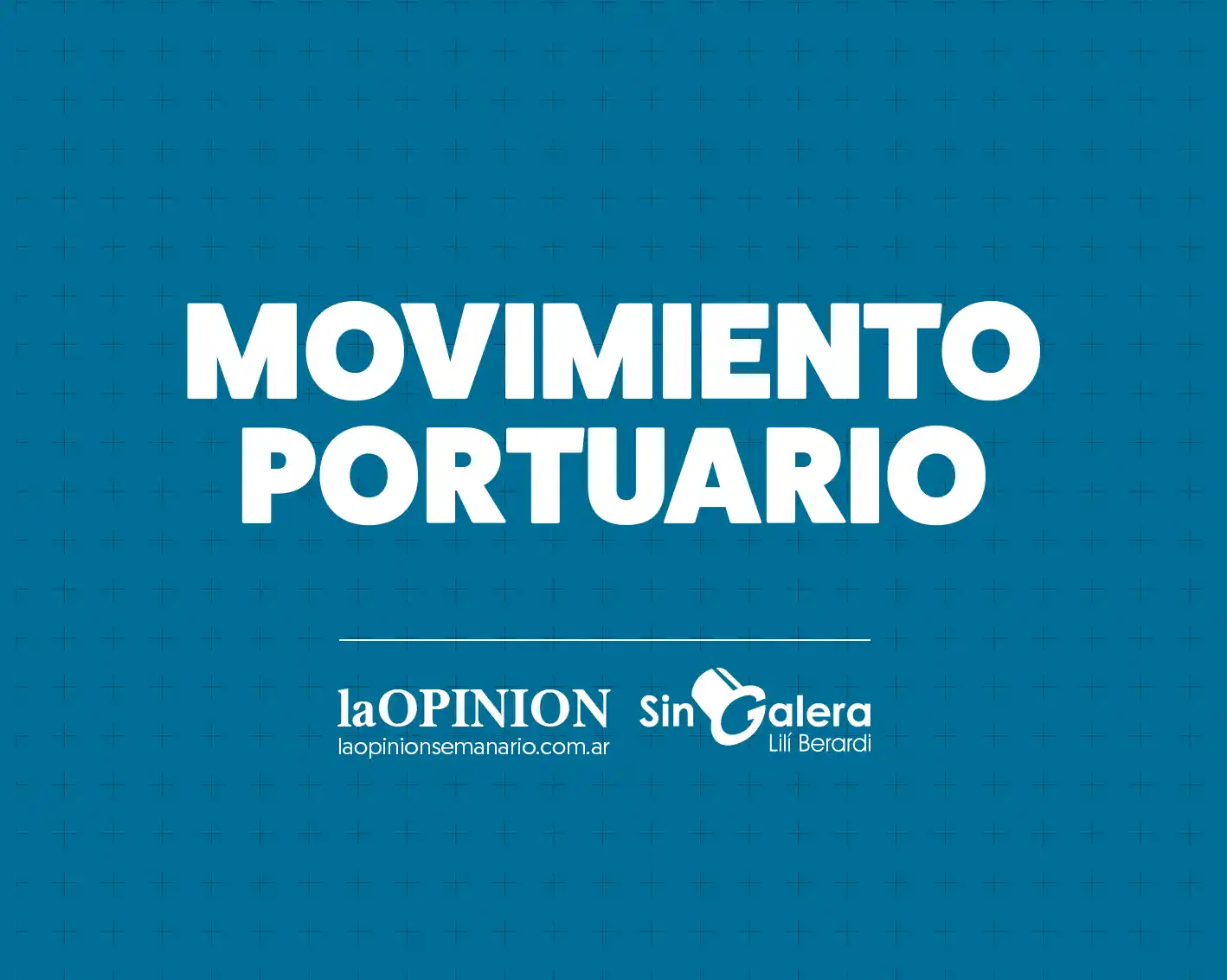 Movimiento portuario: buque cargará trigo con destino Brasil