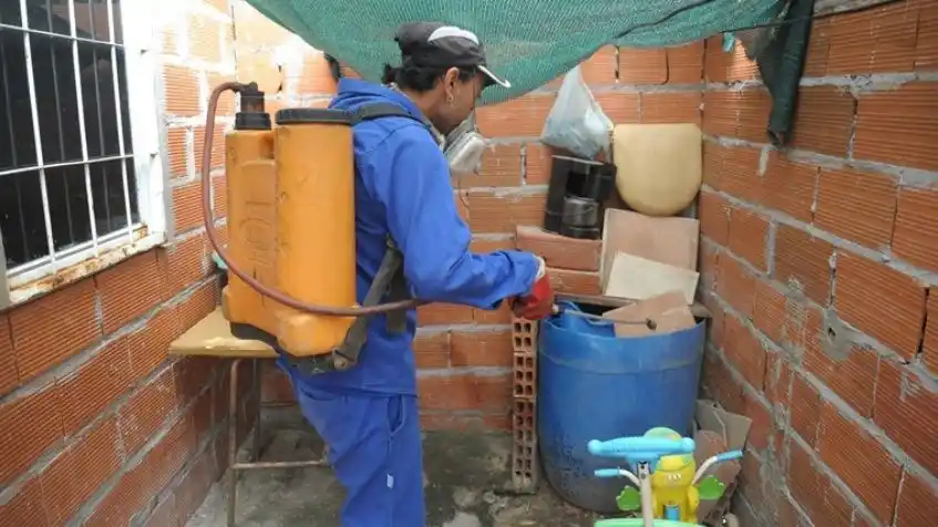 Ya son 13 los casos de dengue autóctono en Rosario