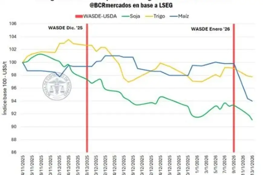Cosecha record en Estados Unidos impacta en Argentina