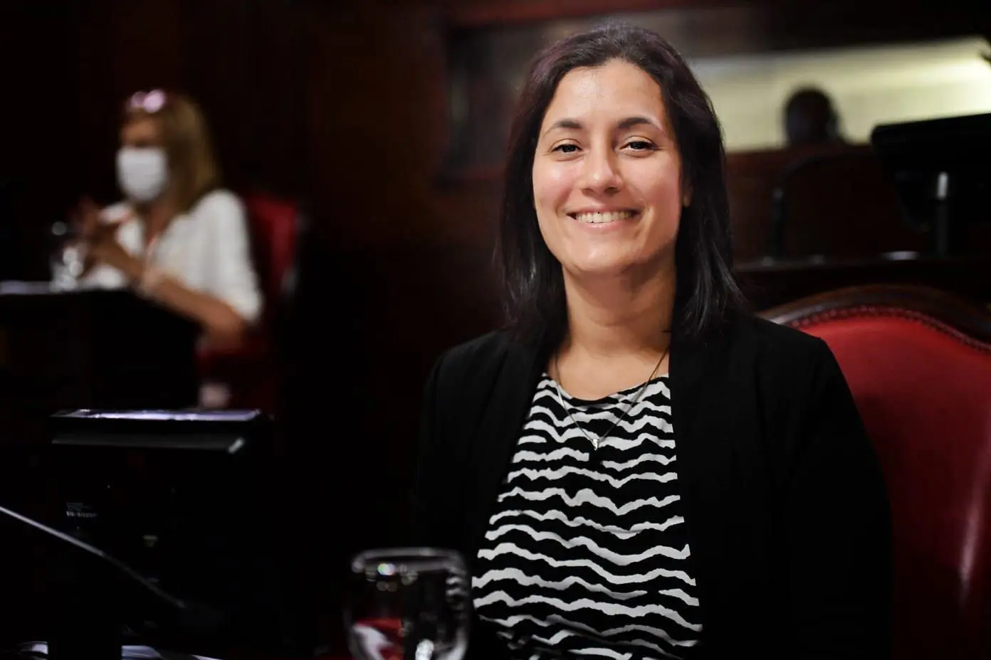 SOFÍA VANNELLI: “SERGIO MASSA PUEDE SER CANDIDATO Y MOSTRAR SU CAPACIDAD DE GESTIÓN”