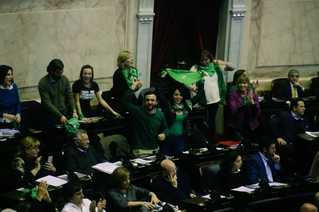  Grosso celebró la media sanción del proyecto de despenalización del aborto: "Nada pudo parar la ola verde feminista"