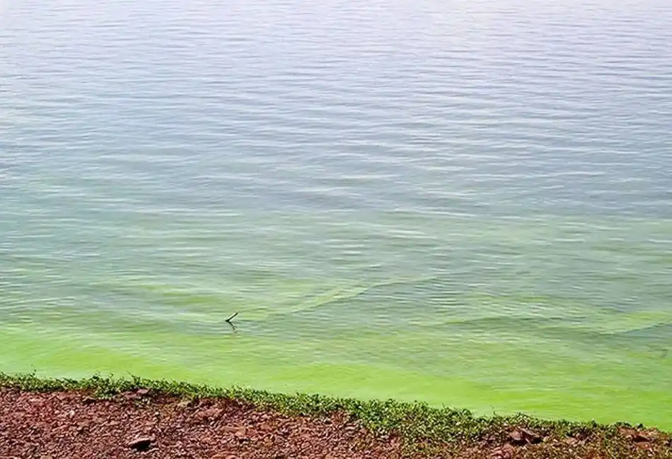 Piden informes sobre la calidad del agua del río Uruguay