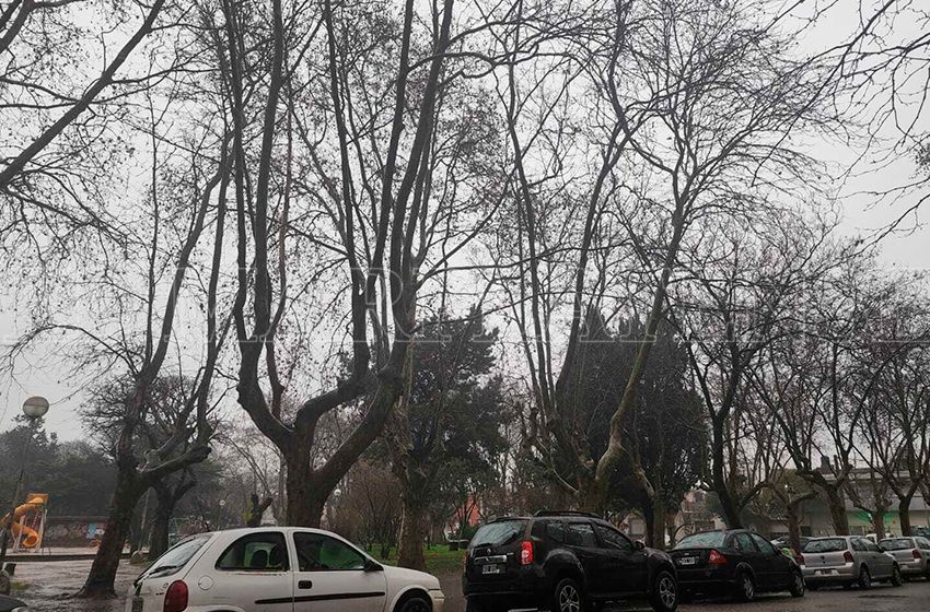 Alerta naranja por tormentas fuertes en Mar del Plata