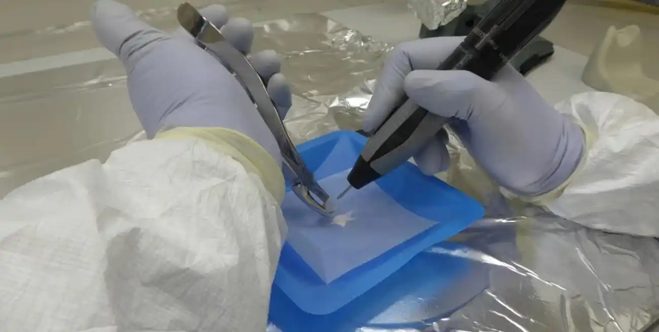 Trabajo en el laboratorio. Gentileza IDACOR