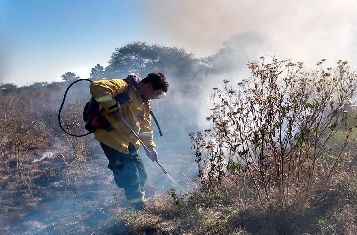 Incendios en las islas: dan a conocer imágenes impactantes de brigadistas apagando el fuego