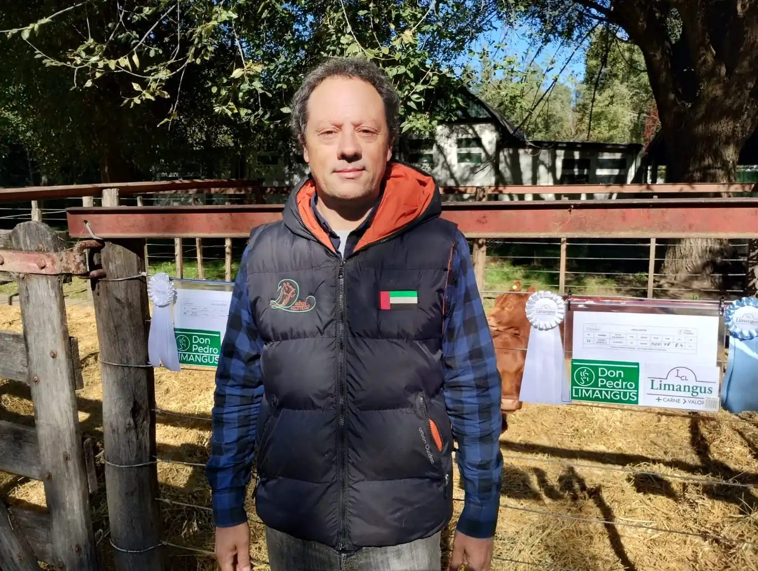 limangus don pedro - 1