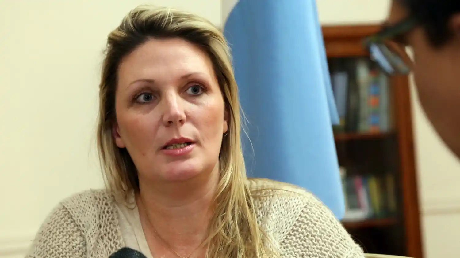 No está definido aún si Santa Fe recibirá el aumento de energía