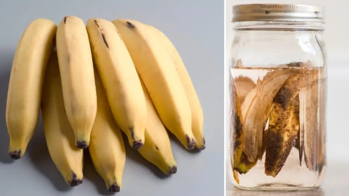 banana - 1