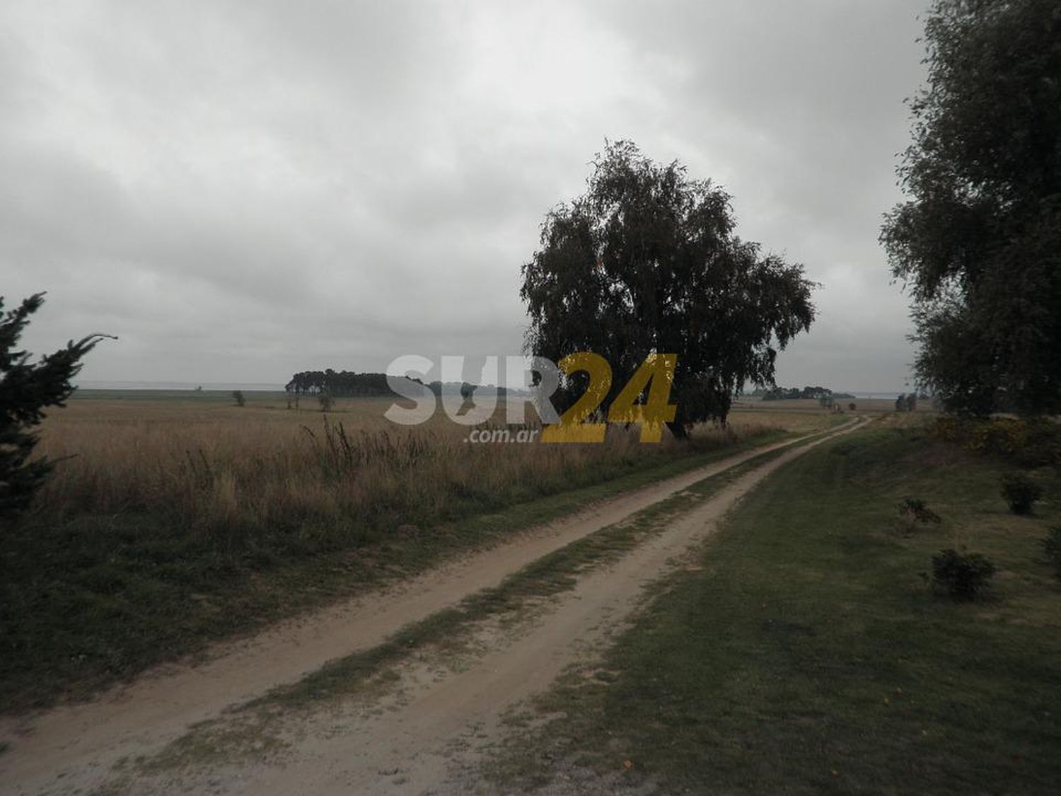 Jueves húmedo y nuboso: cómo seguirá el clima en Venado y la región 