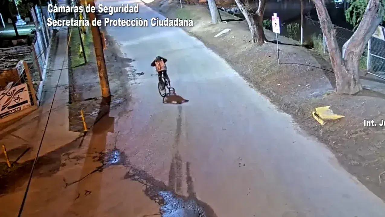 Foto: captura video