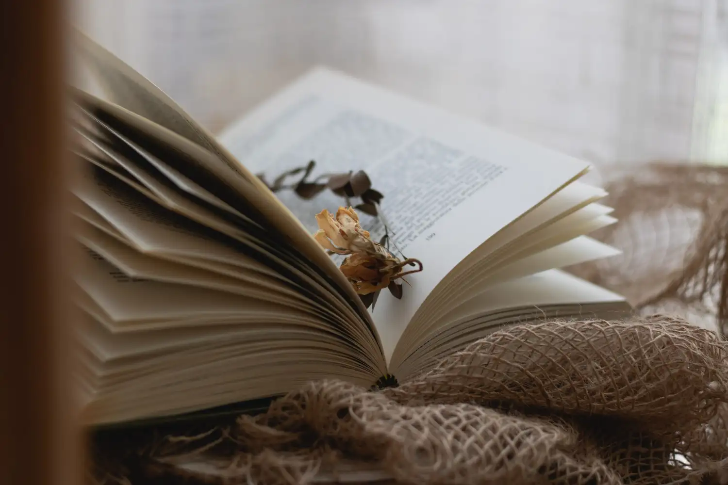 María Grande se convierte en el epicentro de la literatura latinoamericana