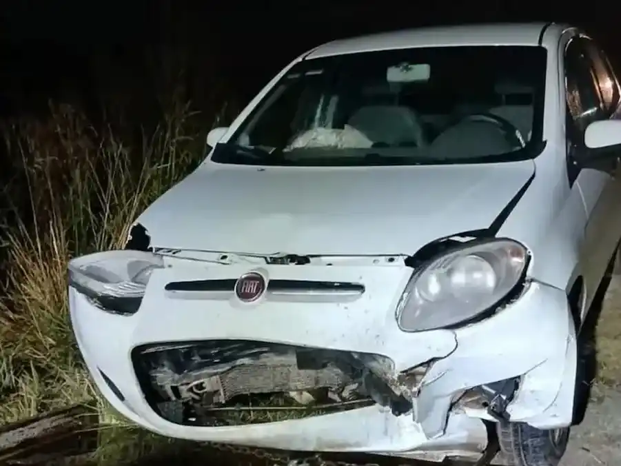 El hecho ocurrió el sábado a la altura del kilómetro 65 de la ruta que une Mar del Plata con Quequén, en la zona de Bellamar.