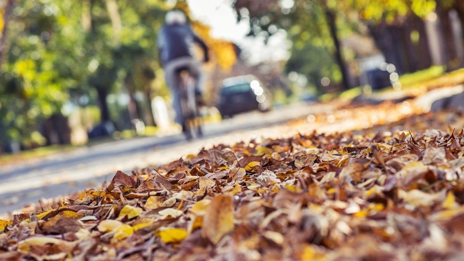 Abril llegará con temperaturas mínimas de 20 grados